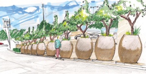 MBayC Architectural Landscape Company - Dallas, TXDOT DBE