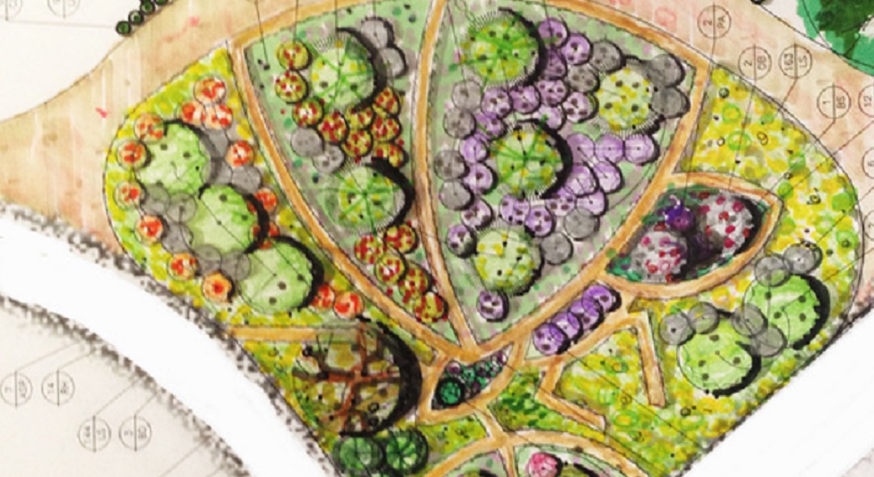 butterfly-detail