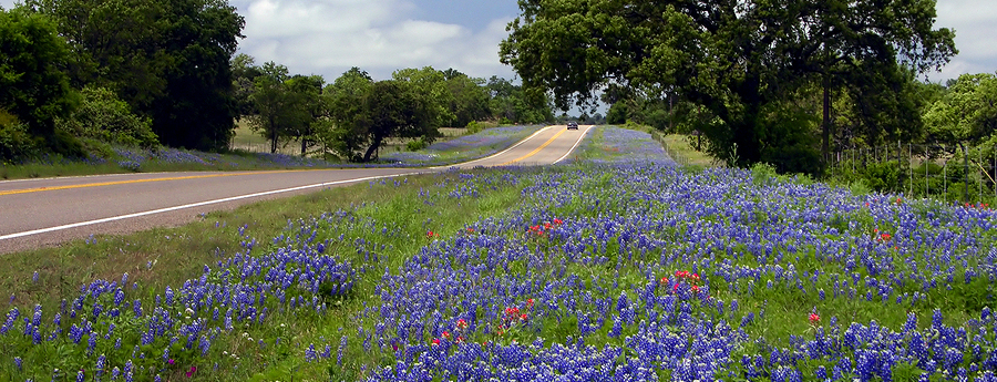 TX Highways Landscaping